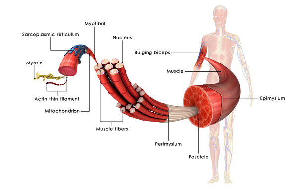 info-image