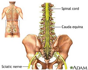 info-image
