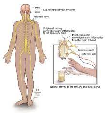 info-image