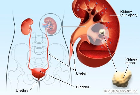 info-image